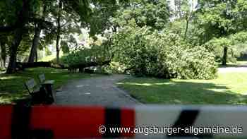 Baum fällt auf Spielplatz in Augsburg: Kleines Mädchen stirbt