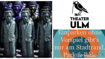 Werbung für Ulm: Stadt-Marketing: Schluss mit beliebig - ein Kommentar - SWP