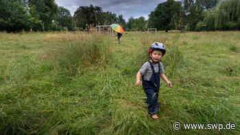 Wetter in Ulm: Warum der Sommer nicht in die Gänge kommt - SWP