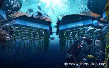 Why Does Utopian Architecture Suck? - The Nation