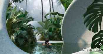 Der Meister der „anomalen Flächen“ - kurier.at