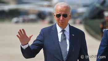 Biden's midterm strategies start to come into focus