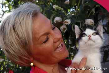 ’t Centrum Feest met Davy en Barbara