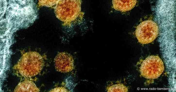 Weltärztebund-Chef: «Werden Corona nie wieder los»