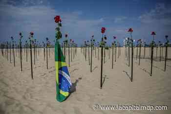 Rosas rojas en Copacabana en memoria de las 500.000 víctimas de Covid en Brasil - La Capital de Mar del Plata