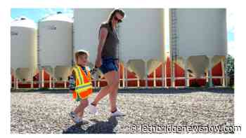 New interactive program designed to keep families safe on the farm - Lethbridge News Now