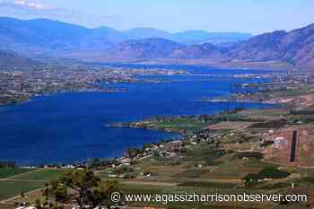 Chilliwack man drowns in Osoyoos Lake – Agassiz Harrison Observer - Agassiz Harrison Observer