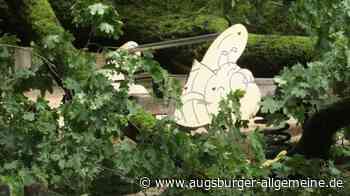 Baum stürzt auf Spielplatz: Große Trauer um zweijähriges Mädchen
