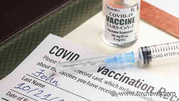 CNN medical analyst suggests life 'needs to be hard' for unvaccinated Americans - Fox News