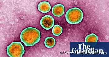 Non-Covid respiratory illnesses on rise in UK, medical experts say - The Guardian