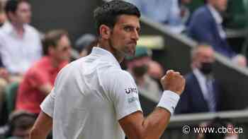 Novak Djokovic triumphs at Wimbledon to secure record-equalling 20th major