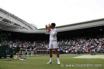 Sacré pour la 6e fois à Wimbledon, Djokovic égale le record de 20 titres du Grand Chelem