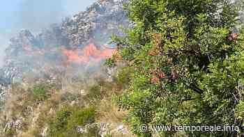 Formia / "Nasi elettronici" contro gli inccendi boschivi, la proposta di "Left Formia" - Temporeale Quotidiano