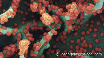 Coronavirus Rates Continue To Climb In LA County Due To Delta Variant - CBS Los Angeles