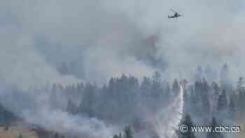 BC Wildfire Service battles 49 new fires over the weekend, expects more Sunday
