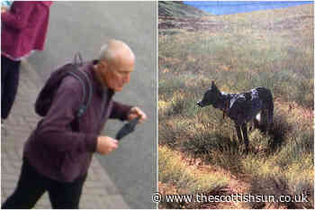 Neil Scott missing: Campbeltown man’s dog spotted as search continues five days after he vanished... - The Scottish Sun