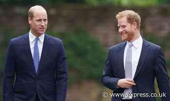 'Feud is not over!' Harry and William 'may have had coaching' to look close at ceremony - Express