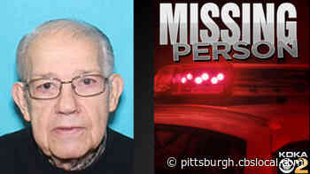 State Police: 83-Year-Old Missing Cambria County Man Patrick Straple Found Safe