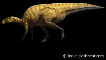 Paleontologists describe a new iguanodon-like dinosaur