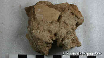 Fossilized ancient ostrich eggshell shines a light on extreme climate change