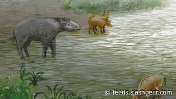 Paleontologists discover new extinct pseudo-horse species