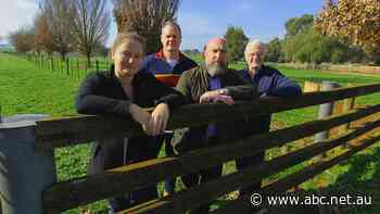 Energy distributor accused of 'box-ticking' public consultation, sparking resignations