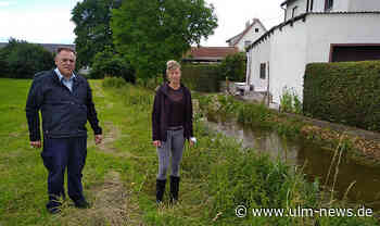 Hoher Grundwasserspiegel sorgt für vollgelaufene Keller