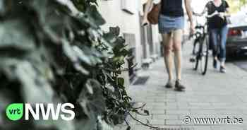 Boechout wil geveltuintjes aanleggen: "We willen groenere en fleurigere straten" - VRT NWS