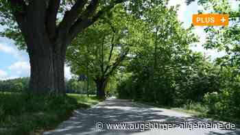 Straße nach Oberwittelsbach soll verbessert werden - Augsburger Allgemeine
