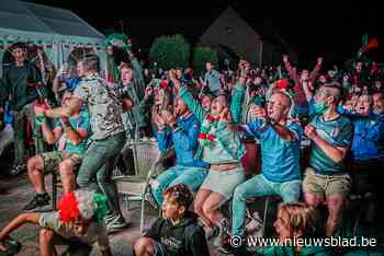 Uitzinnige taferelen: zo vierden de Limburgse Italianen de EK-winst