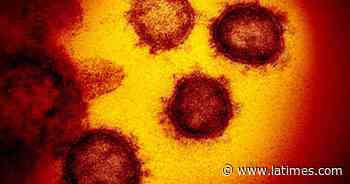 L.A. County records 3,000 new coronavirus cases in 3 days - Los Angeles Times