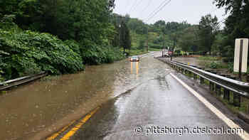 Union Avenue In Bellevue Reopens Following Flooding