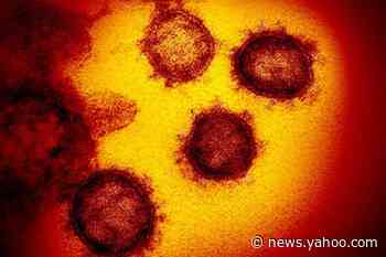 In troubling spike, L.A. County sees 3,000 new coronavirus cases in three days - Yahoo News