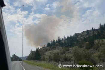 UPDATE: Osoyoos fire stays small, human-caused – BC Local News - BCLocalNews