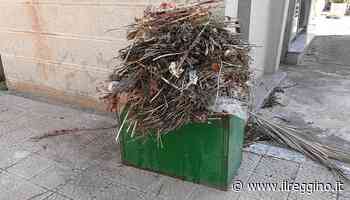 Cimitero di Modena abbandonato, la denuncia del Movimento per la Rinascita del PCI - Il Reggino