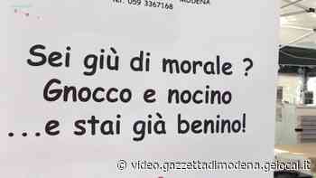 Modena, che festa in piazza per il Nocino - Gazzetta di Modena