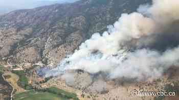 B.C.'s wildfire service battles 60 new fires over the weekend