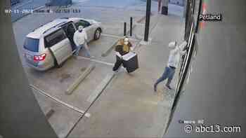 Surveillance video shows crooks attempt a theft at Petland Bellaire - KTRK-TV