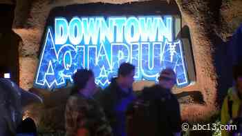 Downtown Aquarium shooting: 2 killed, 1 injured in shooting at Houston restaurant - KTRK-TV
