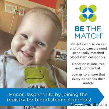 Jasper's Journey: Legacy continues with fundraiser for cancer research funds - WAND