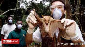 Covid origins: Scientists weigh up evidence over virus's origins