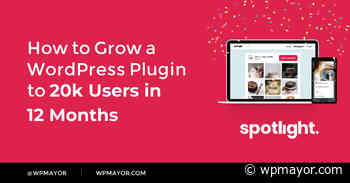 How to Grow a WordPress Plugin to 20k Users in 12 Months