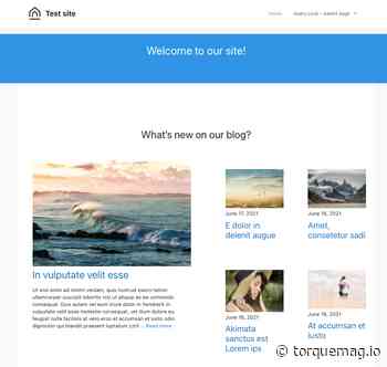 What is WordPress 5.8’s Query Loop Block?
