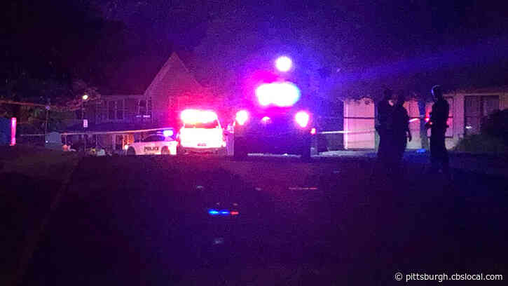 Woman Killed In McKees Rocks Shooting