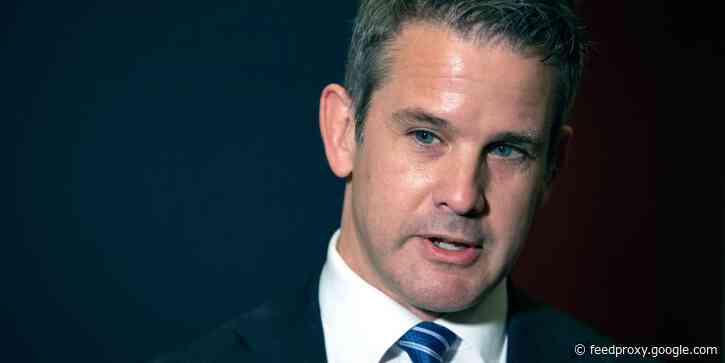 GOP Rep. Adam Kinzinger said his party has been hijacked by 'outrage politics' that is 'going to get Americans killed'