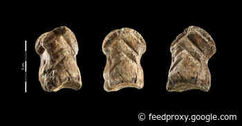 Is This 51,000-Year-Old Giant Deer Bone Carving Art?