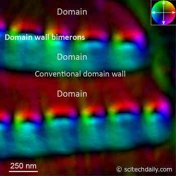 New Type of Topological Defect Observed in Chiral Magnets for the First Time