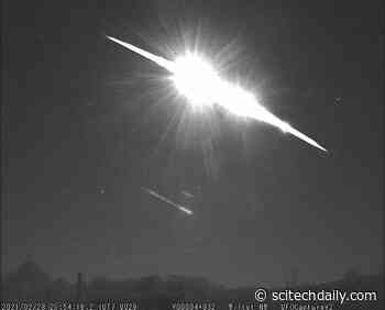 Rare 4.5 Billion-Year-Old Meteorite Could Hold Secrets to Life on Earth