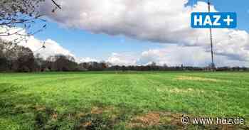 Hemmingen: Wegen Gerätehaus und KGS-Bau Ausgleich an Hoher Bünte geplant - Hannoversche Allgemeine