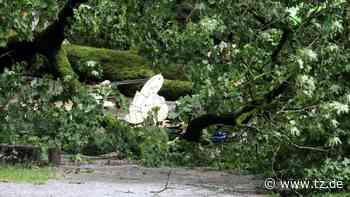 Augsburg: Kind von Baum erschlagen: „Der schlimmste Tag meines Lebens“ - Ersthelfer schildert Eindrücke - tz.de